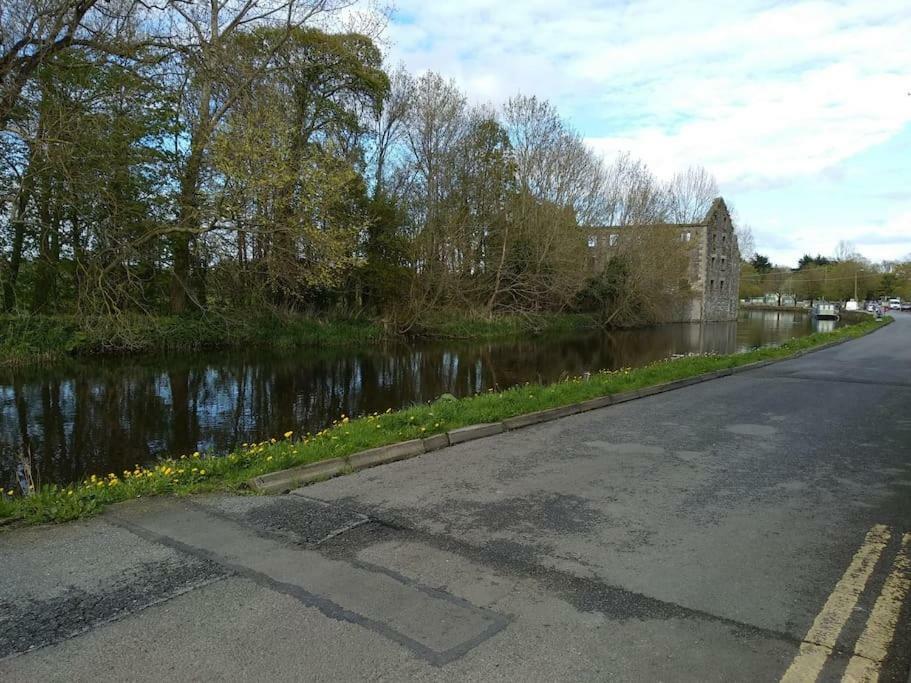 Small Town House, Barrow Lane, Bagenalstown, Carlow Bagian luar foto